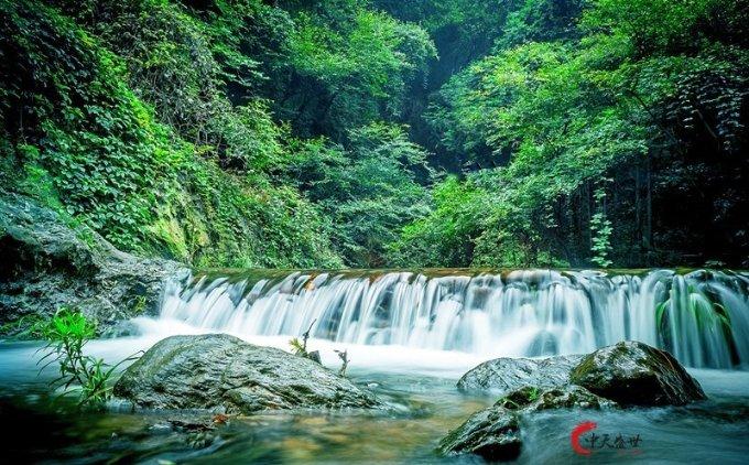黎明杀机