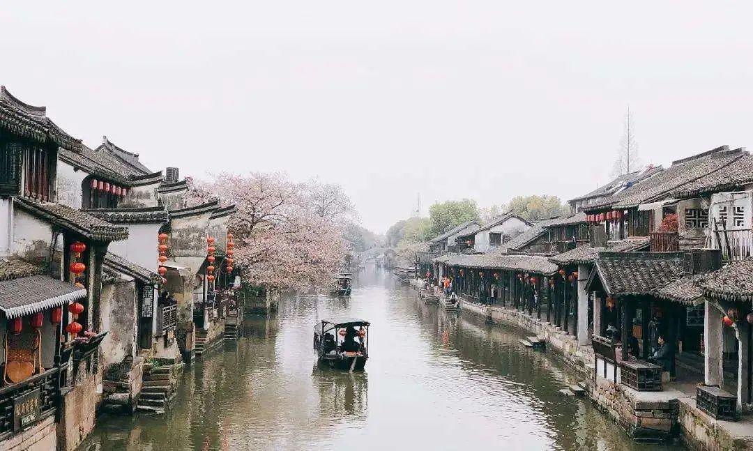 这4种“降糖蔬菜”也不降糖，别被忽悠了